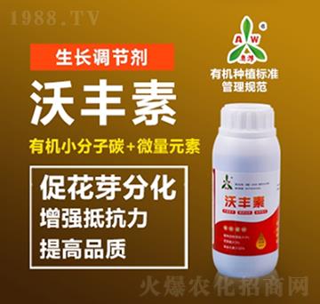 ���S��-�W�S