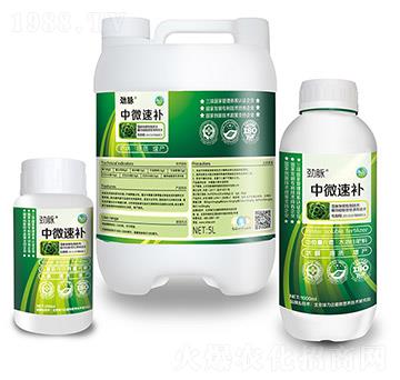 ��΢���a(b��)�M��-���}