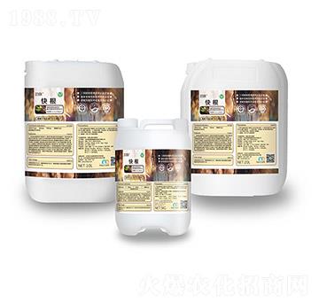 ���-���}