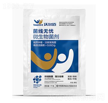 ΢�������-�����o�n-�֠��~