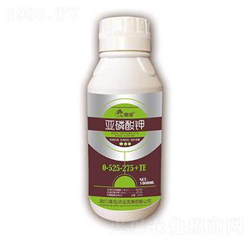 �������0-525-275+TE-ֲ�^-�����r�I(y��)