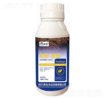 ��⡤�o��-ֲ�^-�����r(n��ng)�I(y��)