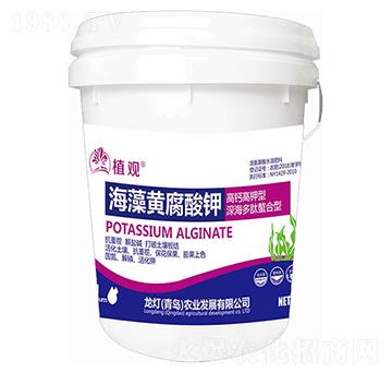 �����S�����-ֲ�^-�����r(n��ng)�I(y��)