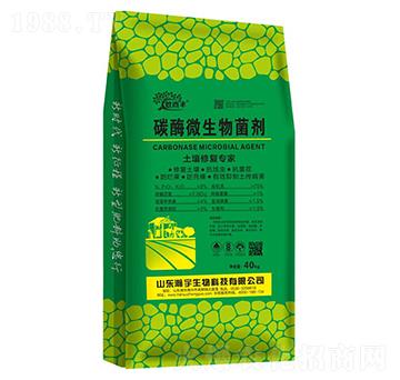 ̼ø΢�������-�������