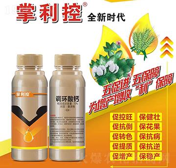 5%�{�h(hu��n)���}-������-��⻯��