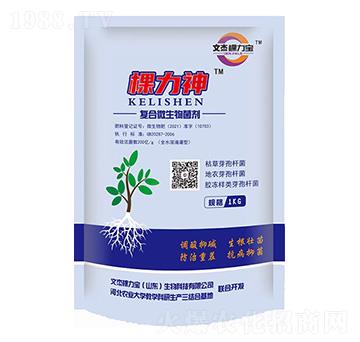 ��(f��)��΢�������-������-�Ľܿ�����