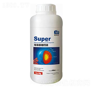 ��������}�V-�Ơ���˹