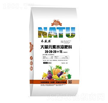 ƽ���ʹ���Ԫ�؏ͺϷ���20-20-20+TE-��ʢԴ-������