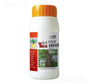 苗木專用生根抗菌快長靈-華爾百諾