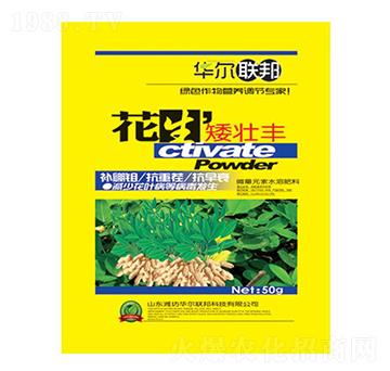 ���������S-�A�����Z