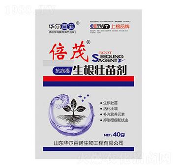 �������������焩-�A�����Z