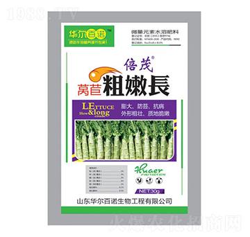 �n�Ĵ����L-�A�����Z