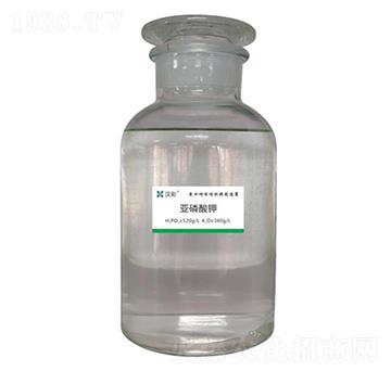 �������-�h�����B(t��i)