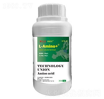 ���M(j��n)���������x������-���ZԊ-�ư����B(t��i)