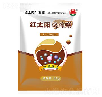 ���w�𣨴���-�t̫�-�ư����B(t��i)