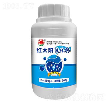 ���w�}��ƿ��-�t̫�-�ư����B(t��i)