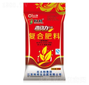 ΢����������(f��)�Ϸ���28-6-6-�ư����B(t��i)