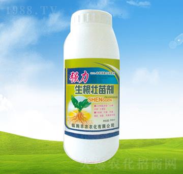 �����������焩-ֲ��-