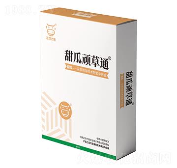 ����B��ͨ-���A����