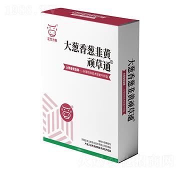 ���[�����[�����S�B��ͨ-���A����