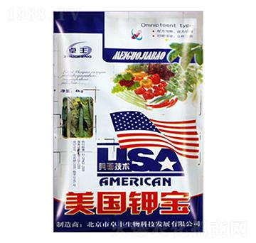 ����⛌�-�����ʘI(y��)