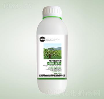 ����ѿ�ߗU��-�@������