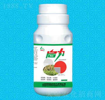 ����ˮ�������~���-���S�r(n��ng)��