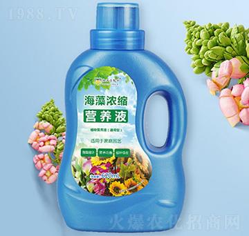 海藻濃縮營養(yǎng)液-德沃多肥料