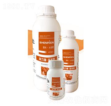 �W����-ʥ�ɶ�