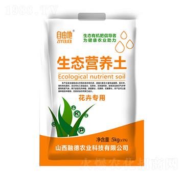 ���܌������B(t��i)�I�B(y��ng)��-���ɵ�-�ڵ��r(n��ng)�I(y��)