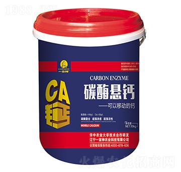 ̼ø���}-һ����