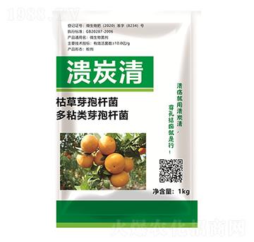 ��̿��-�������