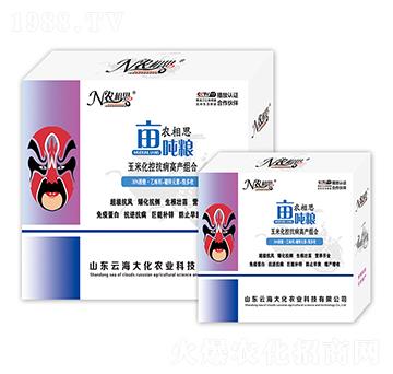 ���׿����I(y��ng)�B(y��ng)�M��-�r(n��ng)��˼�������Z-�ƺ���