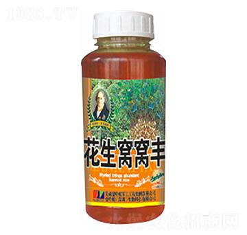 �����C�C�S-�»�