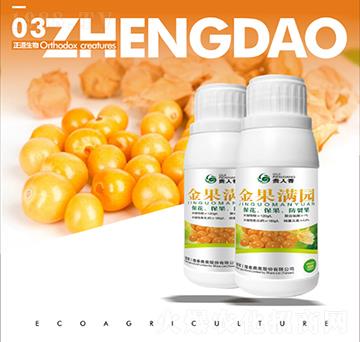 ����M�@-��������