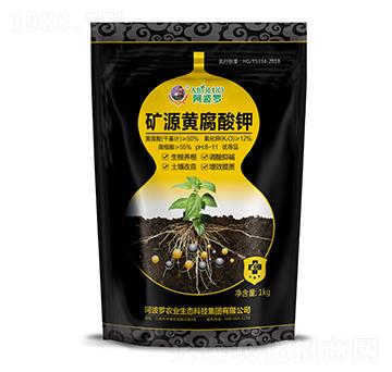 �VԴ�S�����-�����_