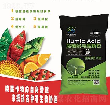 ��ֲ������w��-�а���(gu��)��