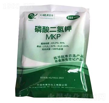 ��������-���{����