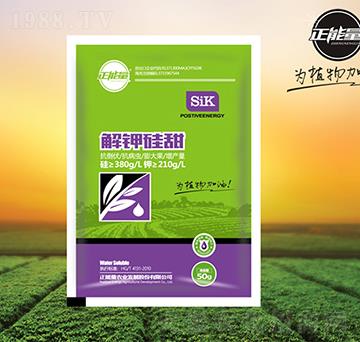 解鉀硅甜葉面肥-正能量