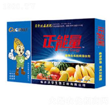 �V�V��ֲ�����L������(qi��ng)��