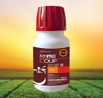 �������-������