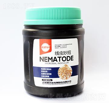 ���x����-������