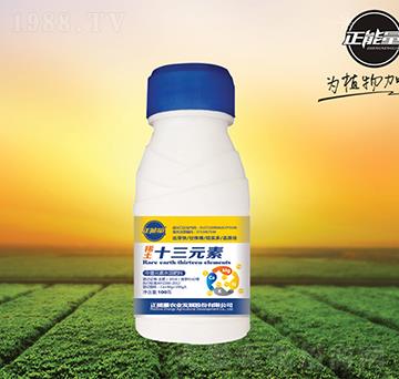 ϡ��ʮ��Ԫ��-������