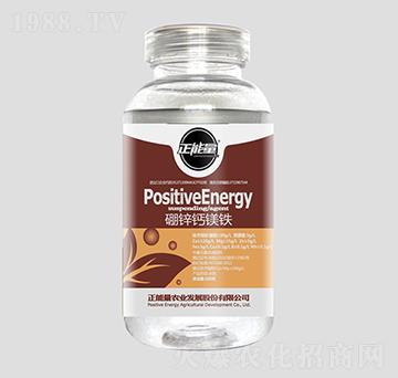 300g���\�}�V�F-��