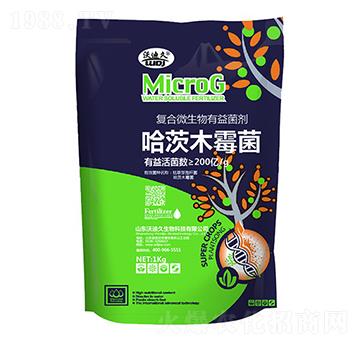 �ͺ�΢�����������-����ľù��-�ֵϾ�