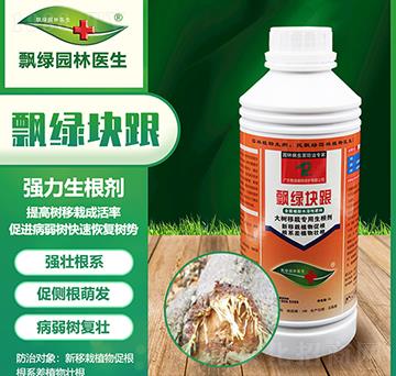 ���(sh��)���Ԍ���������-�h�G�K��-�h�G