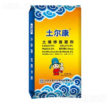 �����ޏ�(f��)����-������-�����