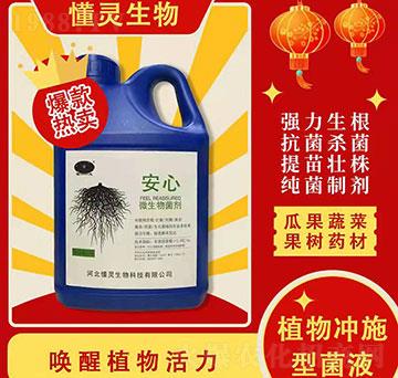 ΢�������-����-���`����