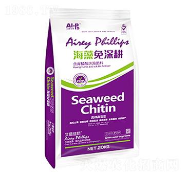 ��⛸ߵ��ͺ��������-����