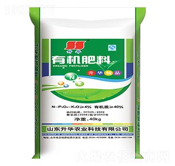 �ЙC����-���A